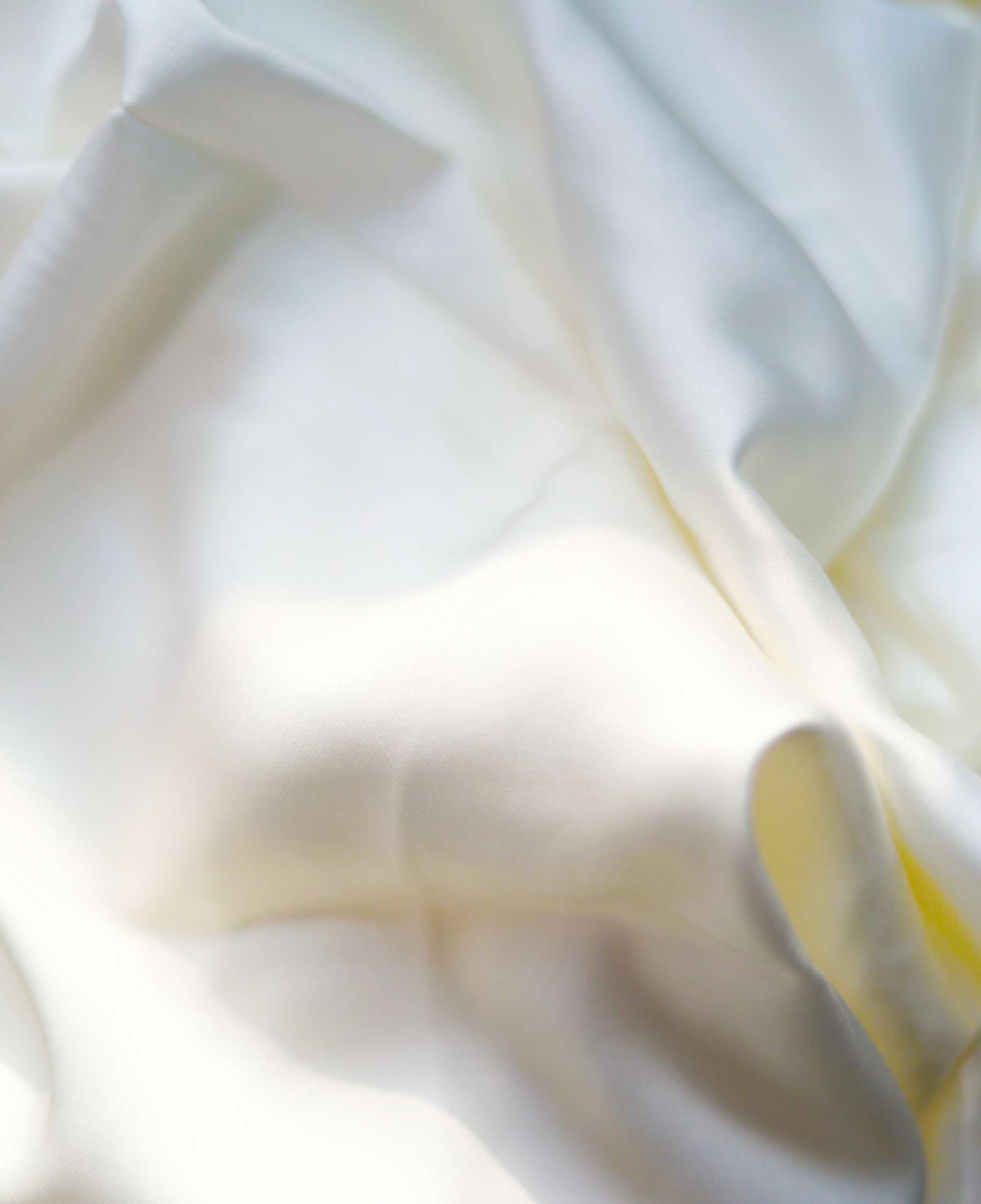 AG��˾(�й���)�����޹�˾����