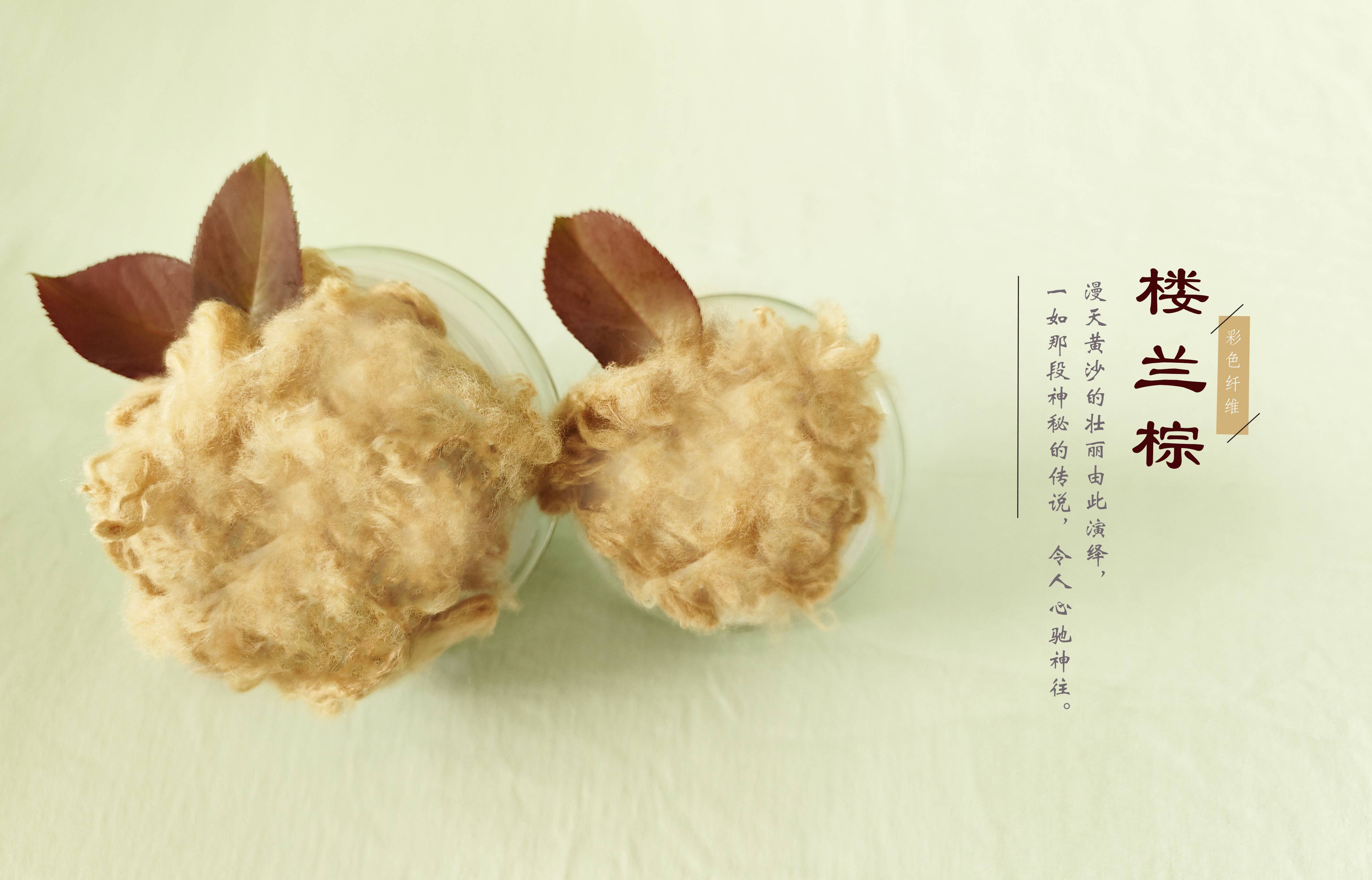 AG��˾(�й���)�����޹�˾����