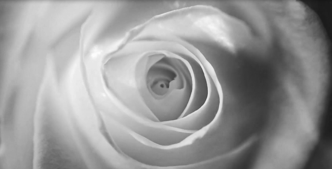 AG��˾(�й���)�����޹�˾����