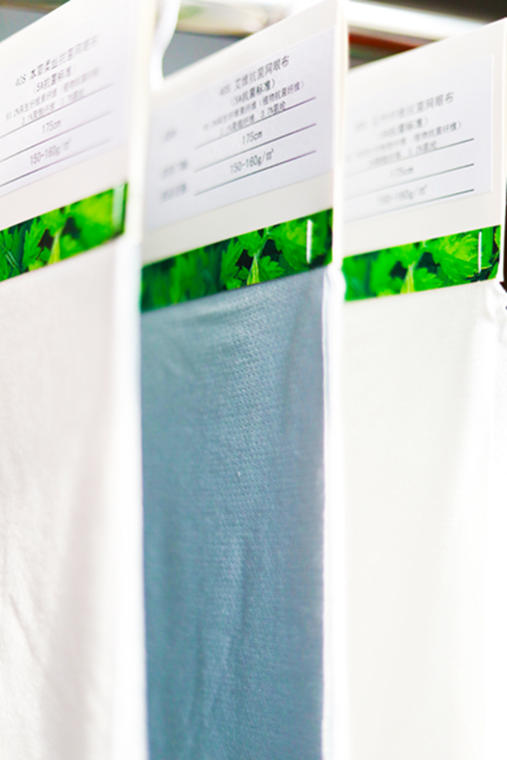 AG��˾(�й���)�����޹�˾����