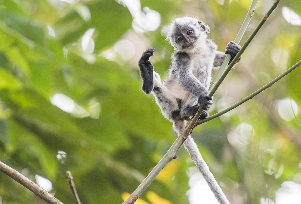 AG��˾(�й���)�����޹�˾����